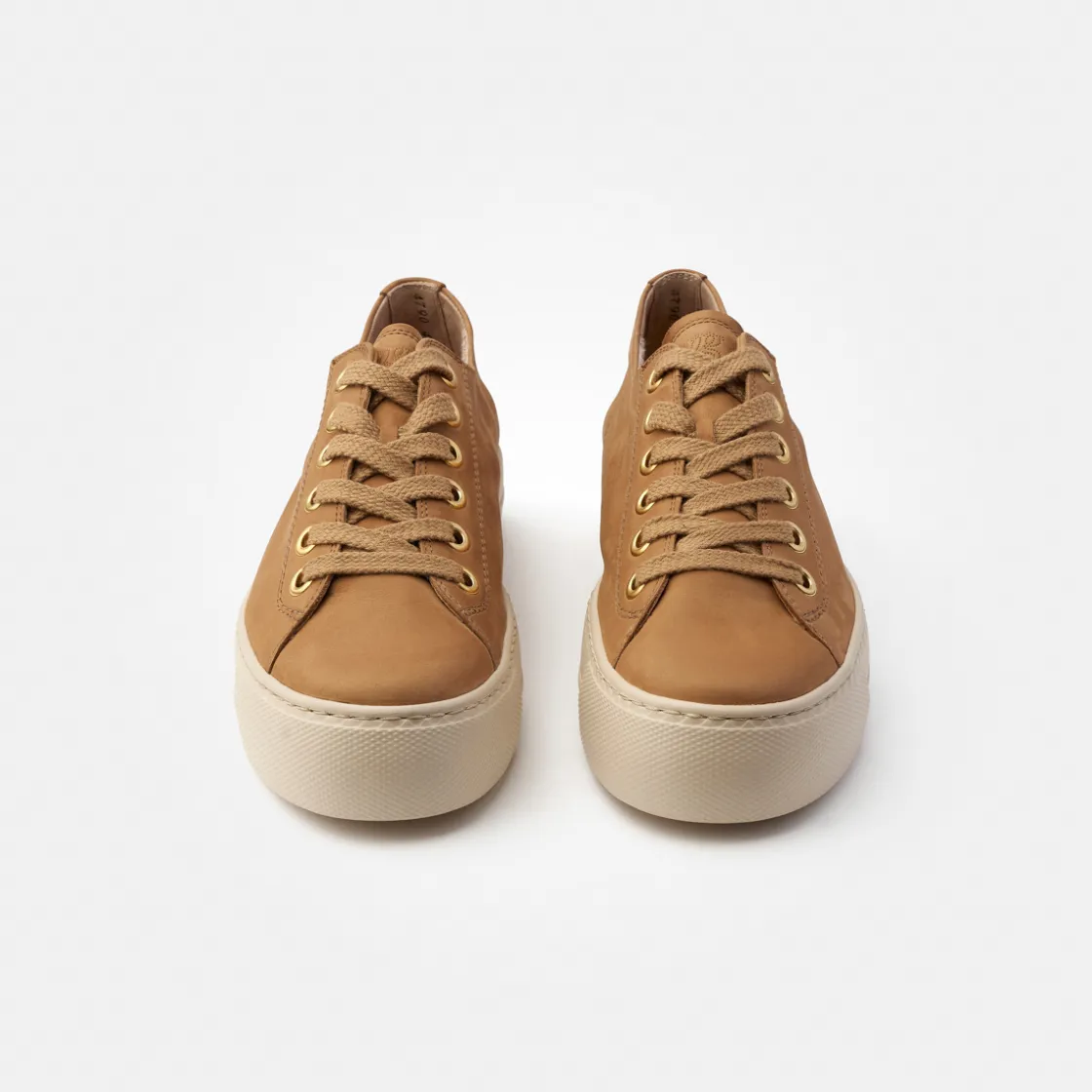 pauls_1-6.webp Paul Green Pauls